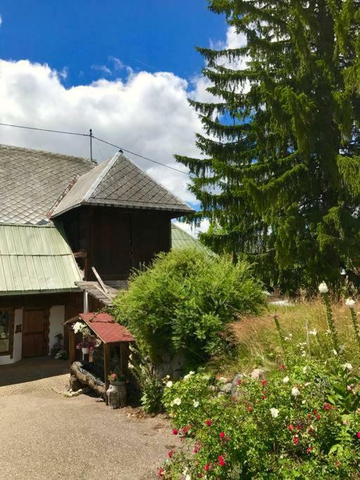Echtes Schwarzwaldhaus - Traditionell & Modern Bernau im Schwarzwald Buitenkant foto