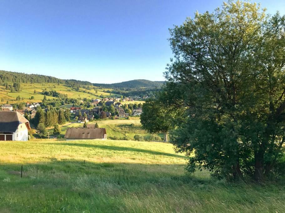 Echtes Schwarzwaldhaus - Traditionell & Modern Bernau im Schwarzwald Buitenkant foto